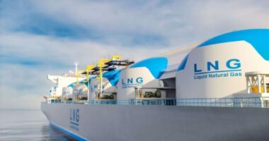 এলএনজি-এলপিজি নিয়ে দেশে আসছে আরও ৫ জাহাজ