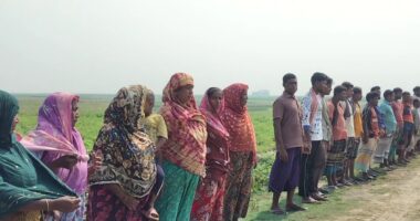 নলডাঙ্গার সাবেক সেনা সদস্যের জমি দখলের অভিযোগ