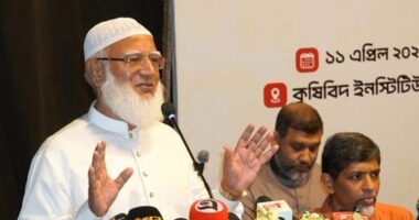 তেল আছে শুধু সংসদে, দেশে নেই : জামায়াত আমির