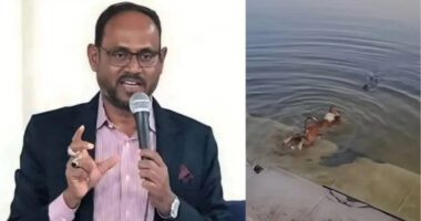 কুকুর-কুমির ঘটনা তদন্তের মাধ্যমে দোষীদের শাস্তির নির্দেশ প্রতিমন্ত্রী টুকুর