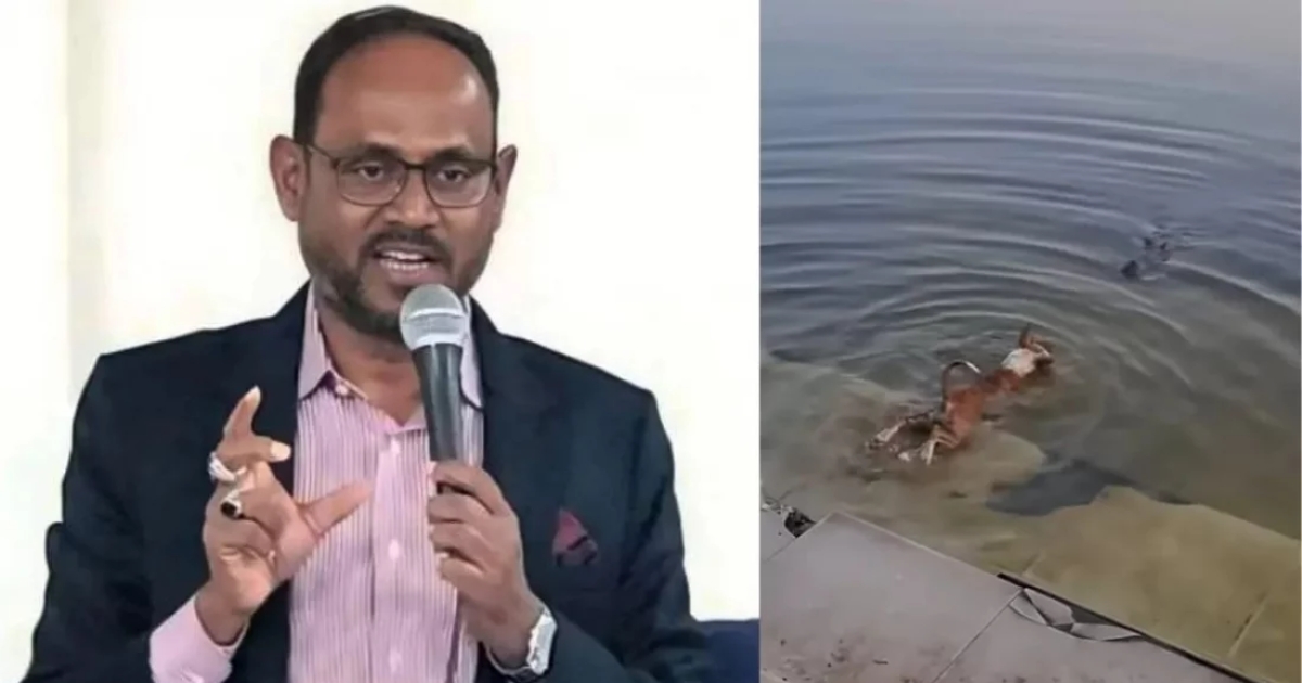 কুকুর-কুমির ঘটনা তদন্তের মাধ্যমে দোষীদের শাস্তির নির্দেশ প্রতিমন্ত্রী টুকুর