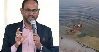 কুকুর-কুমির কাণ্ডে দোষীদের কঠোর শাস্তির আওতায় আনার নির্দেশ প্রাণিসম্পদ প্রতিমন্ত্রীর