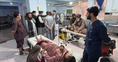 আফগানিস্তানে পিকনিক স্পটে বন্দুক হামলা, নিহত ১১