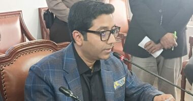 আ. লীগের ১৫ বছরে শিক্ষায় কোনো ভিশন ছিল না : ববি হাজ্জাজ