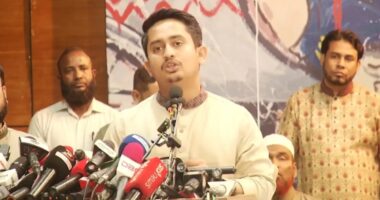 আ. লীগের সঙ্গে বিএনপির অলিখিত চুক্তির কারণে দাগি আসামিরা জামিন পাচ্ছে : সারজিস