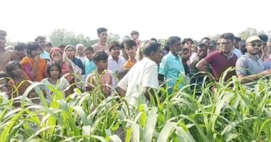 শাহজাদপুরে ঘাস ক্ষেত থেকে গলাকাটা কিশোরের লাশের পরিচয় মিলেছে