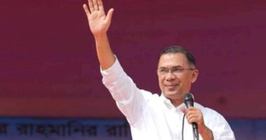 মওলানা ভাসানীর মাজার জিয়ারত করবেন প্রধানমন্ত্রী তারেক রহমান