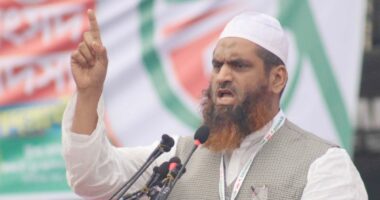 বর্তমান সরকারকে ‘শেখ হাসিনার ভূতে ধরেছে’: মামুনুল হক