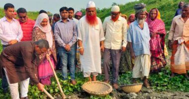 গুরুদাসপুরে সিধুলী খাল পুনঃখনন শুরু, সুফল পাবে কৃষক
