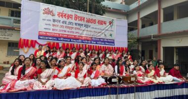 নবীনগরে বাংলা নববর্ষ উদযাপিত, ইছাময়ী পাইলট উচ্চ বালিকা বিদ্যালয় মাঠে মিলনমেলা