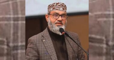 বৈশাখের তাৎপর্য ও গুরুত্ব মাথায় রেখে দেশ গড়তে চাই: মাসুদ সাঈদী