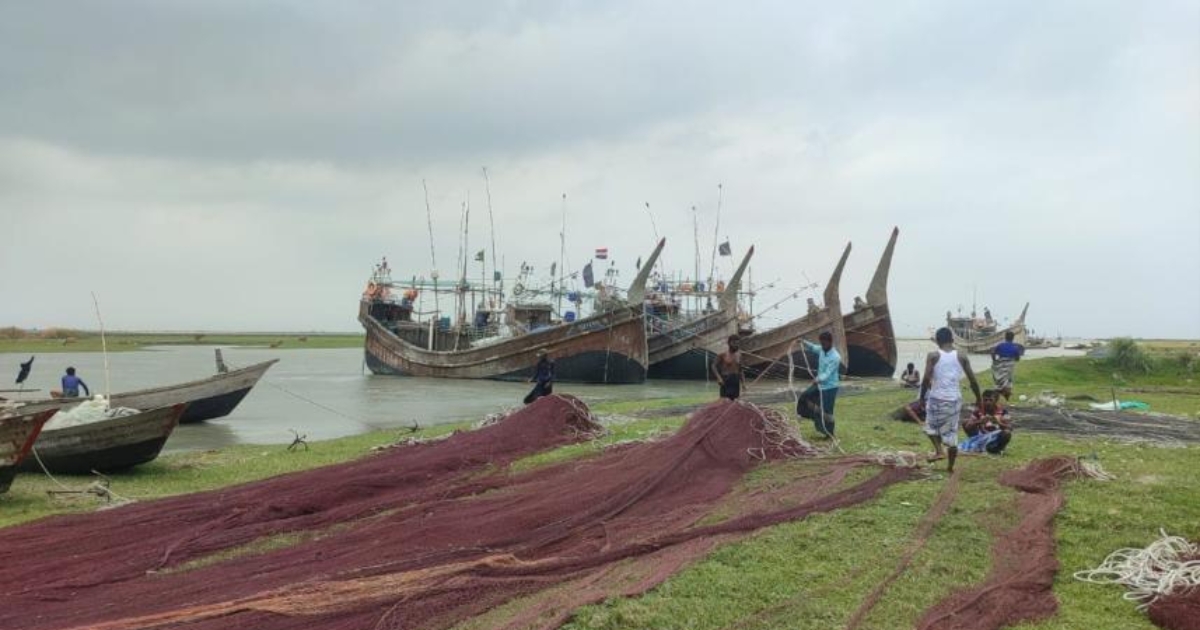 ইলিশ রক্ষায় সাগরে ৫৮ দিনের নিষেধাজ্ঞা শুরু, উপকূল জুড়ে কড়া নজরদারি