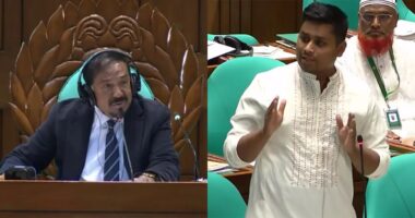 আপনাদের কাছে আমি ভিক্ষা চাই, এলাকায় মুখ দেখাতে পারি না, মানুষ ক্ষুব্ধ হয়ে আমাকে এখন বেঁধে রাখবে : হাসনাত