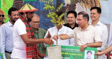 সেই কবির হোসেন প্রকৃত কৃষক, এআই ছবি ও গুজব ছড়িয়ে বিভ্রান্তি