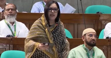 আমার এলাকার হাসপাতাল নিজেই ‘রোগীর মতো’: সংসদে রুমিন ফারহানা