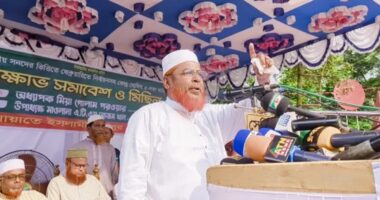 গণরায় বাস্তবায়ন না করে ফ্যাসিবাদী স্টাইলে দেশ চালাচ্ছে সরকার : গোলাম পরওয়ার