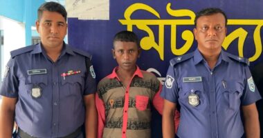 দিনাজপুরে ১৩ বছরের মেয়েকে ধর্ষণ চেষ্টার অভিযোগে পিতা আটক