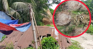 লালমোহনে জোরপূর্বক জমি দখলের চেষ্টা নিষেধাজ্ঞা অমান্য করে গাছ কাটার অভিযোগ