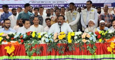 বিরোধী দল চায়, কালকেই যেন সরকারের পতন হয়: স্পিকার হাফিজ