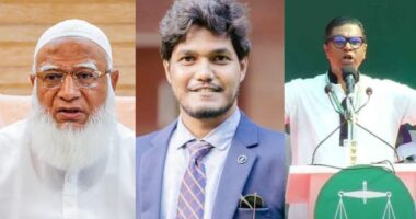 ‘জনাব আমির সাহেব যা বলতে পারেন না সেটা তার পালিত সন্তানদের দিয়ে বলায়’ : ছাত্রদলের আবিদ