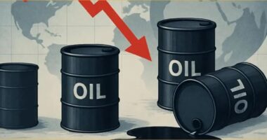 হরমুজ প্রণালি খোলার ঘোষণায় কমেছে জ্বালানি তেলের দাম