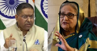 ‘শেখ হাসিনাকে ফেরতের বিষয়টি বিবেচনা করছে ভারত’