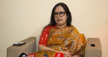 এনসিপিতে যোগ দেওয়ার গুঞ্জন একেবারেই ভিত্তিহীন, এটা একেবারেই গুঞ্জন, একেবারেই গুজব : রুমিন ফারহানা