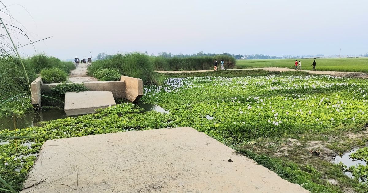 পাবনার ভাঙ্গুড়ার অষ্টমনিষা ইউনিয়নের বাঁশবাড়িয়া এলাকার বিধ্বস্ত সাবমারসিবল সড়ক