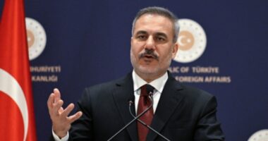 নিরাপত্তার আড়ালে ভূখণ্ড বিস্তার বাড়াচ্ছে ইসরায়েল : তুরস্কের পররাষ্ট্রমন্ত্রী