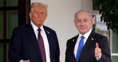 ইসরায়েল জানে কীভাবে বিজয় ছিনিয়ে আনতে হয় : ডোনাল্ড ট্রাম্প