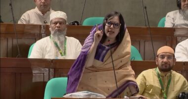 জ্বালানি সংকটে সরকার মিথ্যা বলছে, সংকট নেই বললে পাম্পে ৩ কিমি লাইন কেন : রুমিন ফারহানা