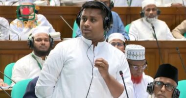 এখনও কেন কার্টুন শেয়ার করলে গ্রেফতার করা হবে :  হাসনাত আব্দুল্লাহ