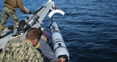 হরমুজ প্রণালিতে মাইন অপসারণে রোবট মোতায়েন করছে যুক্তরাষ্ট্র