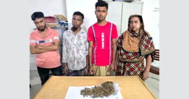 বাউফলে ইয়াবা ও গাঁজাসহ ৪ মাদক বিক্রেতা গ্রেফতার