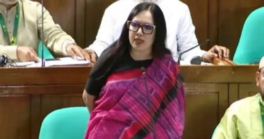 মবের শহরে পরিণত হয়েছে দেশ, বিচারহীনতায় বাড়ছে গণপিটুনি : রুমিন ফারহানা