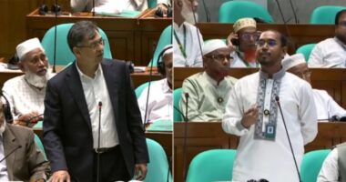 নিরাপত্তা চাইলেন হান্নান মাসউদ, থানায় মামলা-জিডির পরামর্শ স্বরাষ্ট্রমন্ত্রীর