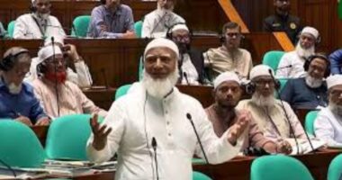 সংসদের ভেতরে তেলের কোনো সংকট নেই,  বাইরে সাধারণ মানুষ তেলের জন্য হাহাকার করছে : শফিকুর রহমান