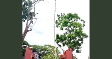 নেত্রকোনায় বজ্রনিরোধক যন্ত্র অকার্যকর, ৬ বছরে ৬২ জন নিহত