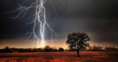 নীলফামারী জলঢাকায় বজ্রাঘাতে ভ্যানচালক নিহত, আহত ১