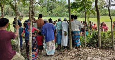 আমতলীতে চোখে মরিচের গুঁড়া ছিটিয়ে কুপিয়ে জখম, গুরুতর আহত ৩