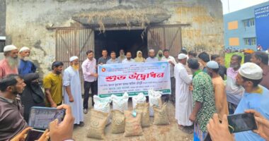 আমতলীতে কৃষি প্রণোদনা কার্যক্রমের উদ্বোধন, আমতলীতে ১২ হাজার কৃষক পাচ্ছেন সহায়তা