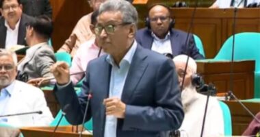 এস আলম গ্রুপের সঙ্গে বিএনপি সরকারের সমঝোতা হয়নি: অর্থমন্ত্রী