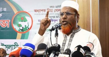 ছাত্রদলের সন্ত্রাসীরা শিক্ষাঙ্গনের শান্তিপূর্ণ পরিবেশ নষ্টের অপচেষ্টা চালাচ্ছে: মিয়া গোলাম পরওয়ার