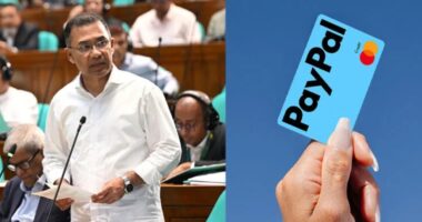 দেশে আসছে পেপ্যাল, ২ লাখ ফ্রিল্যান্সার পাবেন পরিচয়পত্র : প্রধানমন্ত্রী