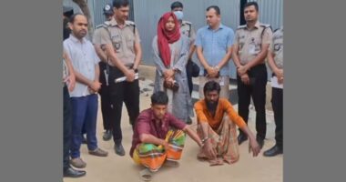 সখীপুরে ৫০০ গ্রাম গাঁজাসহ আটক ১, মাদক সেবনে আরও ২ জনের কারাদণ্ড