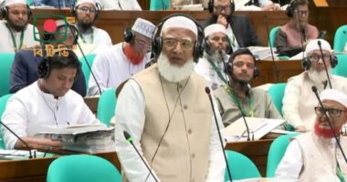 আমরা ভালো হয়ে গেলে দেশও ভালো হয়ে যাবে : শফিকুর রহমান