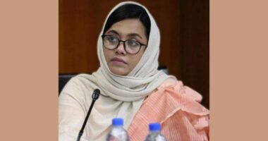 শব্দের রাজনীতির দোহাই দিয়ে আমাদের সন্তান-ভাইদের হত্যা করা হয়েছিল, আর রক্ত দেখতে ইচ্ছা করে না : ডা.মিতু