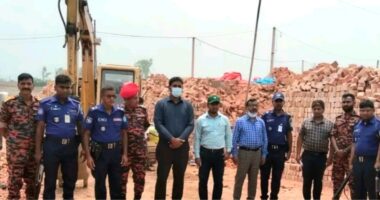 ঘাটাইলে ৭টি ইটভাটা কে ২৩ লাখ টাকা জরিমানা