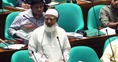 সংসদ ভবন থেকেই লোডশেডিং শুরু করার প্রস্তাব দিলেন বিরোধীদলীয় নেতা