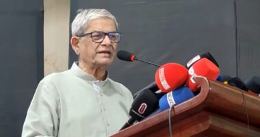 সরবরাহ কমের জন্যে নয়, দেশে তেলের সংকট নেই, এটি সৃষ্টি করা হয়েছে : মির্জা ফখরুল